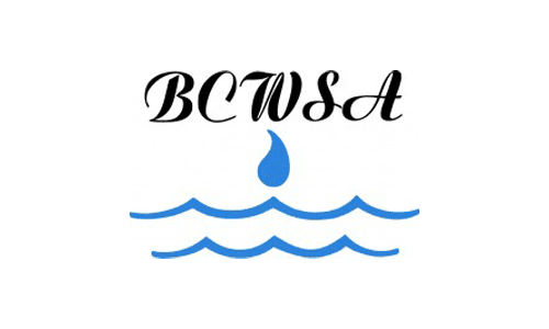 Community-BCWSA-Logo