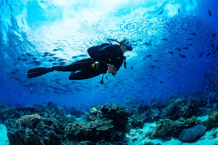 Our Services - Scuba Diver Swimming in the Ocean with a School of Fish